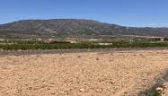 Salg - Land - Pinoso - Inland