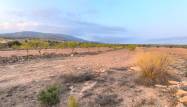 Salg - Land - Pinoso - Inland