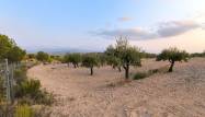 Salg - Land - Pinoso - Inland