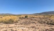 Salg - Land - Pinoso - Inland