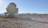 Salg - Land - Pinoso - Inland