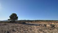 Salg - Land - Pinoso - Inland