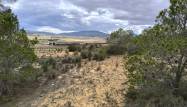 Salg - Land - Pinoso - Inland