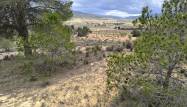 Salg - Land - Pinoso - Inland