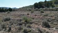 Salg - Land - Pinoso - Inland