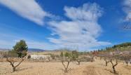 Salg - Land - Pinoso - Inland