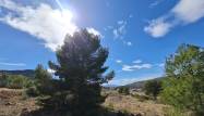 Salg - Land - Pinoso - Inland