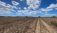 Salg - Land - Pinoso - Inland