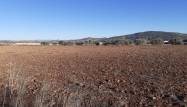 Salg - Land - Pinoso - Inland