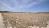 Salg - Land - Pinoso - Inland