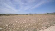 Salg - Land - Pinoso - Inland