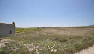 Salg - Land - Pinoso - Inland