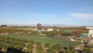 Salg - Leilighet - Daya Nueva - Costa Blanca