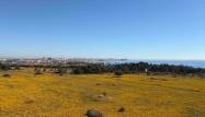 Salg - Leilighet - Orihuela Costa - Costa Blanca