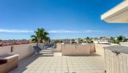 Salg - Leilighet - Orihuela Costa - Costa Blanca