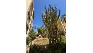 Salg - Penthouse - Torrevieja - Los Frutales