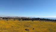 Salg - Penthouse - Torrevieja - Punta Prima