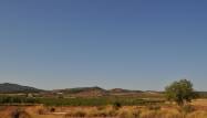 Salg - Property - Pinoso - Inland