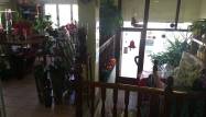 Salg - Town House - Pinoso - Inland