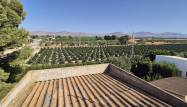 Salg - Villa - Orihuela - Inland