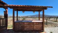 Salg - Villa - Pinoso - Inland
