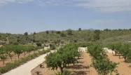 Salg - Villa - Pinoso - Inland