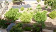 Venta - Apartamento - Cabo Roig - Costa Blanca