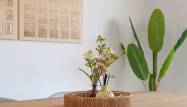 Venta - Apartamento - Pilar de la Horadada - Costa Blanca