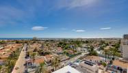Venta - Apartamento - Torrevieja - Nueva Torrevieja