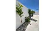 Venta - Bungalow - Torrevieja - La Siesta - El Salado - Torreta