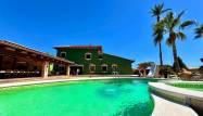 Venta - Chalet - Almoradí - Comunidad Valenciana