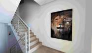Venta - Chalet - Benijofar - Costa Blanca