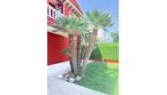 Venta - Chalet - Campoamor