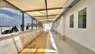 Venta - Chalet - Los Montesinos - Costa Blanca