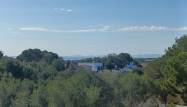 Venta - Chalet - Pilar de la Horadada - Pinar de Campoverde
