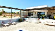 Venta - Chalet - Pinoso - Inland