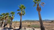 Venta - Chalet - Pinoso - Inland