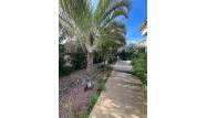 Venta - Chalet - Playa Flamenca