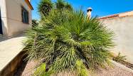 Venta - Chalet - Torrevieja - Costa Blanca