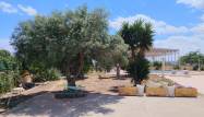 Venta - Country House - Los Montesinos - Costa Blanca