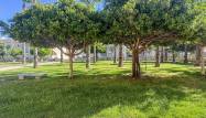 Venta - Duplex - Torrevieja - Costa Blanca