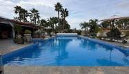 Venta - Finca - Catral - Comunidad Valenciana