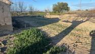 Venta - Finca - Daya Nueva - Comunidad Valenciana