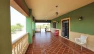 Venta - Finca - Daya Nueva - Comunidad Valenciana