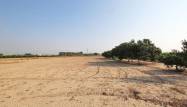 Venta - Finca - Daya Nueva - Comunidad Valenciana