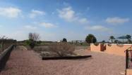 Venta - Finca - Dolores - Comunidad Valenciana