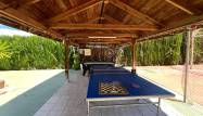 Venta - Finca - Dolores - Comunidad Valenciana