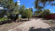Venta - Finca - Dolores - Comunidad Valenciana
