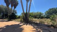 Venta - Finca - Dolores - Comunidad Valenciana