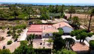 Venta - Finca - La Marina - Costa Blanca